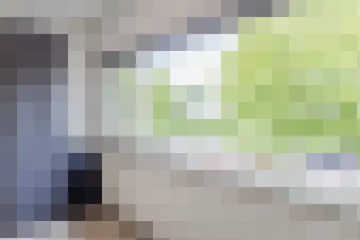 Zwembadweg 5 Schijndel thumbnail 22
