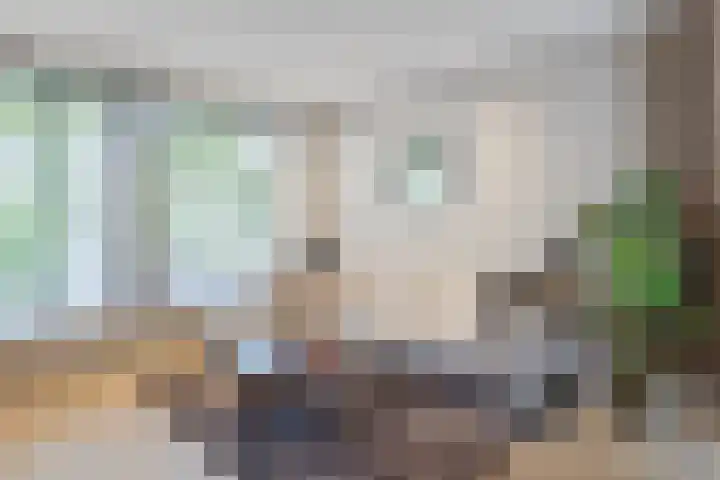 Zwembadweg 5 Schijndel thumbnail 9