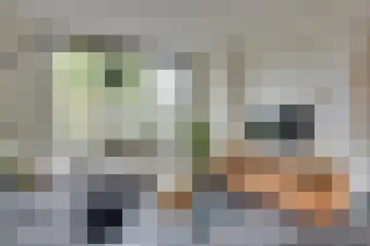 Zwembadweg 55 Schijndel thumbnail 4