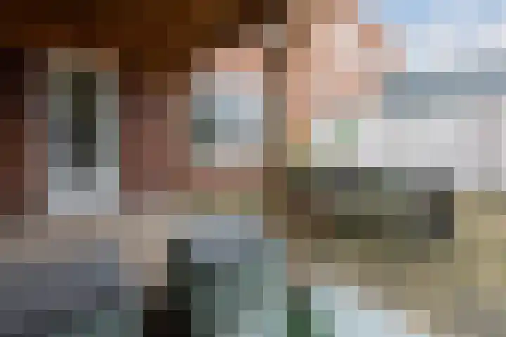 Zwemkrab 14 Bergen op Zoom thumbnail 32