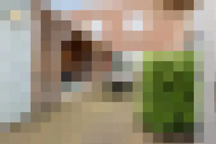 Zwemkrab 14 Bergen op Zoom thumbnail 33