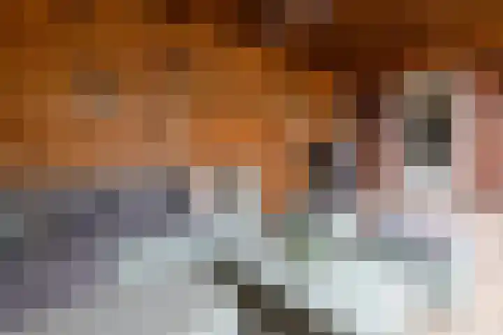 Zwemkrab 14 Bergen op Zoom thumbnail 36