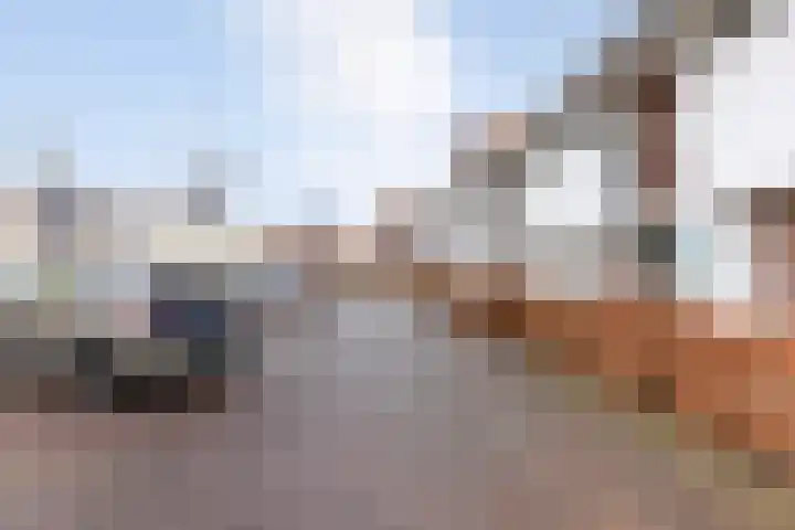 Zwemkrab 14 Bergen op Zoom thumbnail 38