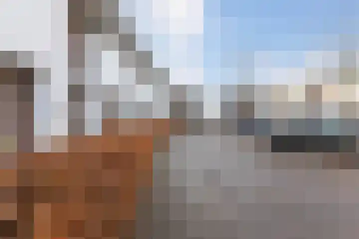 Zwemkrab 14 Bergen op Zoom thumbnail 39