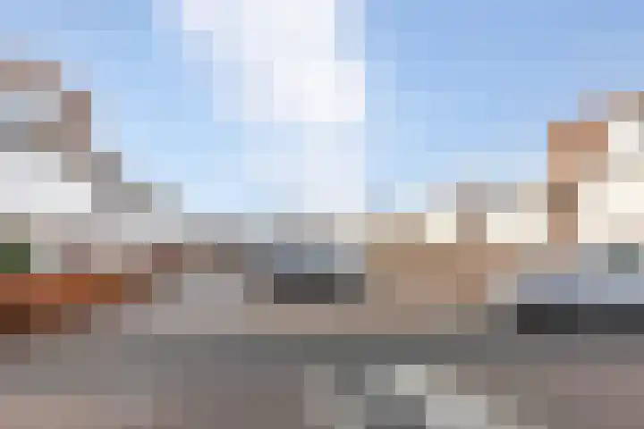 Zwemkrab 14 Bergen op Zoom thumbnail 40