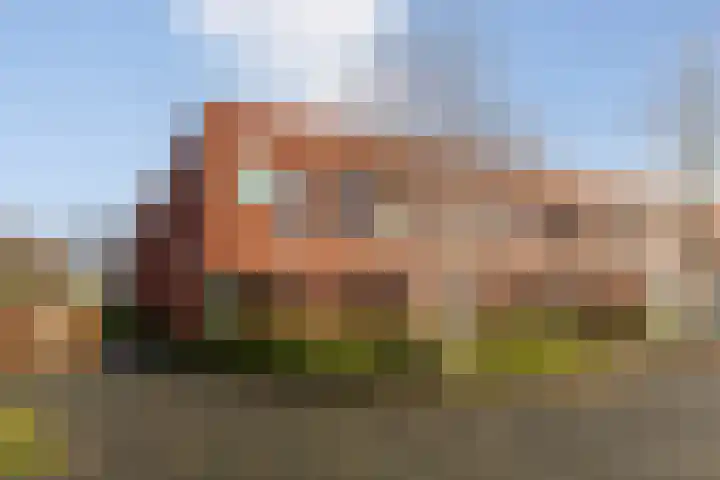 Zwemkrab 14 Bergen op Zoom thumbnail 41