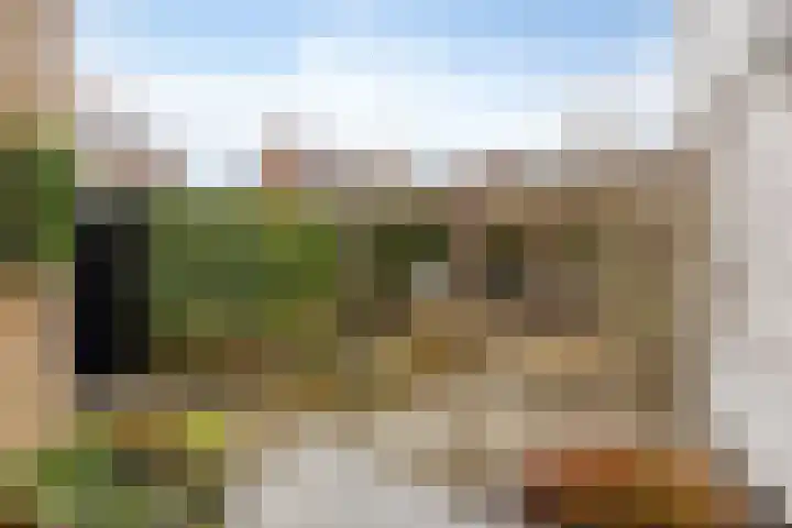 Zwemkrab 9 Bergen op Zoom thumbnail 30