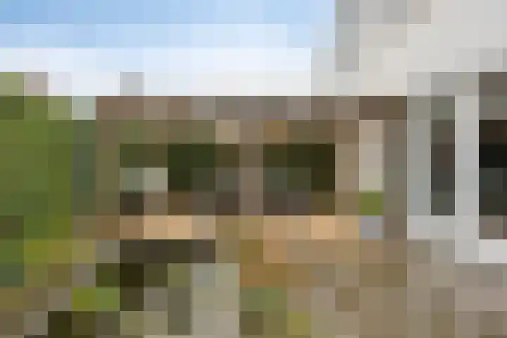 Zwemkrab 9 Bergen op Zoom thumbnail 31