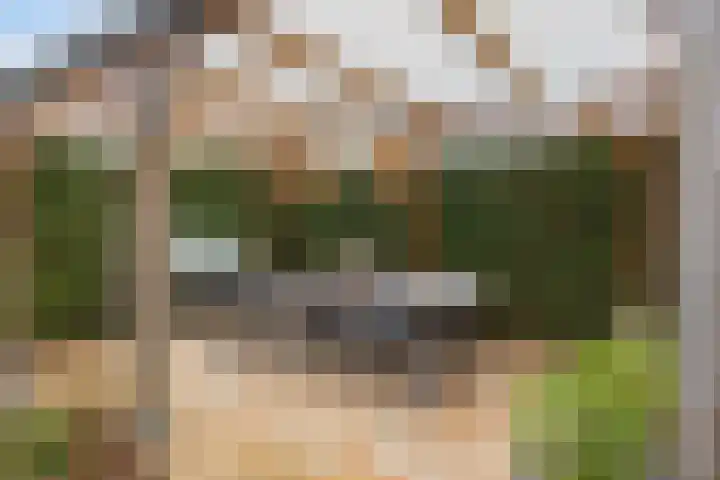 Zwemkrab 9 Bergen op Zoom thumbnail 32
