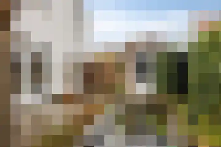 Zwemkrab 9 Bergen op Zoom thumbnail 33