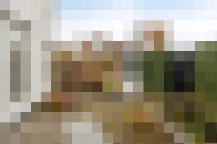 Zwemkrab 9 Bergen op Zoom thumbnail 34