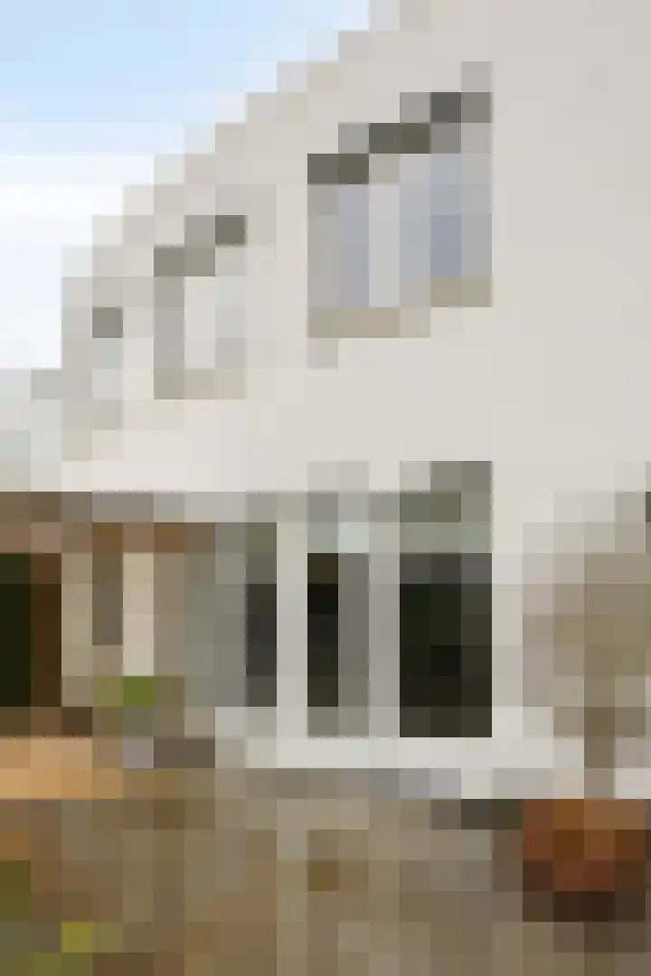 Zwemkrab 9 Bergen op Zoom thumbnail 35