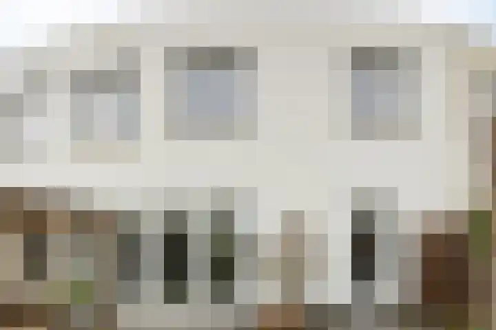 Zwemkrab 9 Bergen op Zoom thumbnail 37