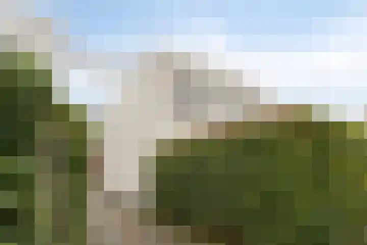 Zwemkrab 9 Bergen op Zoom thumbnail 38
