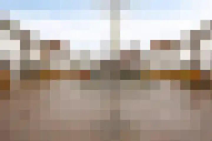 Zwemkrab 9 Bergen op Zoom thumbnail 39