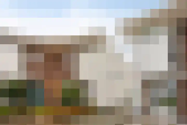Zwemkrab 9 Bergen op Zoom thumbnail 40