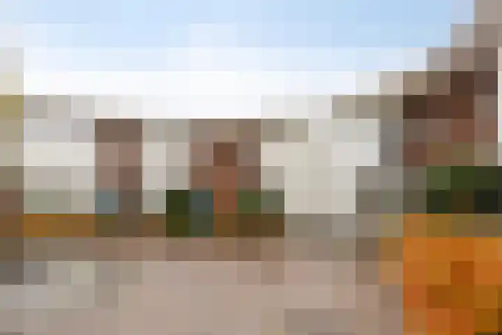 Zwemkrab 9 Bergen op Zoom thumbnail 41