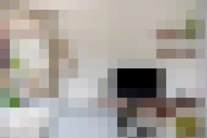 Zwemkrab 9 Bergen op Zoom thumbnail 6
