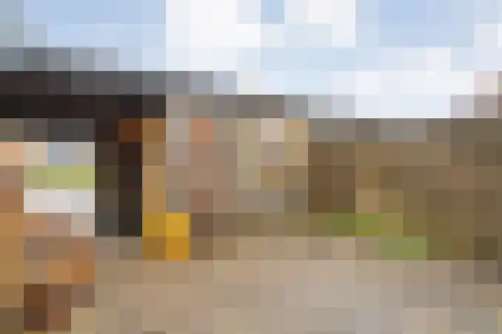 Zwemmer 17 Zwolle thumbnail 11