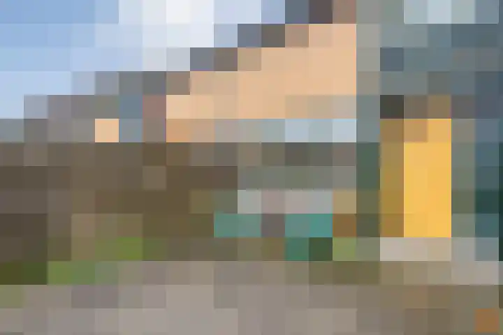 Zwemmer 17 Zwolle thumbnail 13