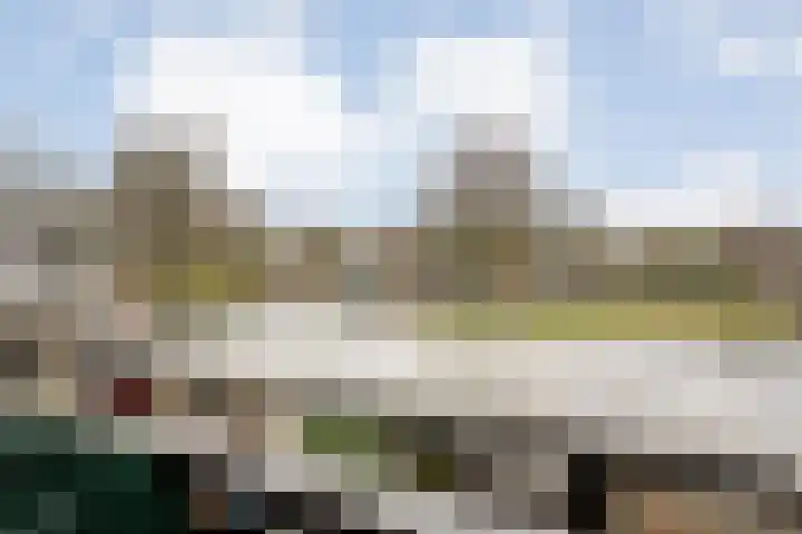 Zwemmer 17 Zwolle thumbnail 30