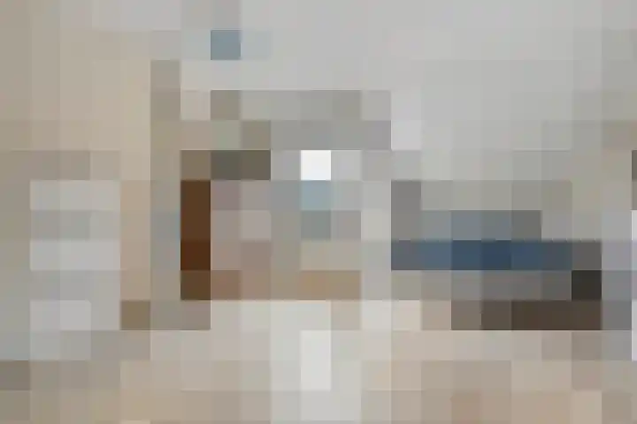 Zwemmer 17 Zwolle thumbnail 33