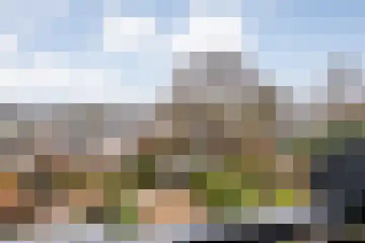 Zwemmer 17 Zwolle thumbnail 39
