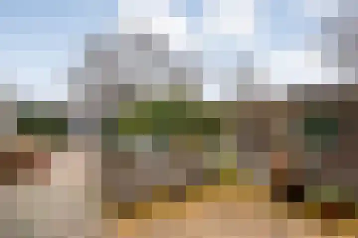 Zwemmer 17 Zwolle thumbnail 40