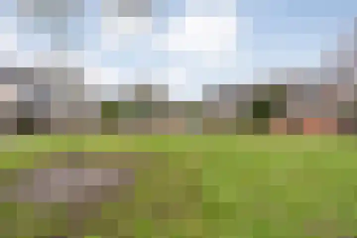 Zwemmer 17 Zwolle thumbnail 47