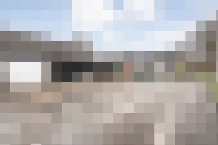 Zwemmer 17 Zwolle thumbnail 6