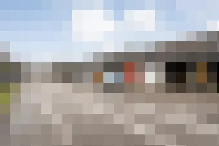 Zwemmer 17 Zwolle thumbnail 7