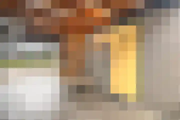 Zwemmer 17 Zwolle thumbnail 9