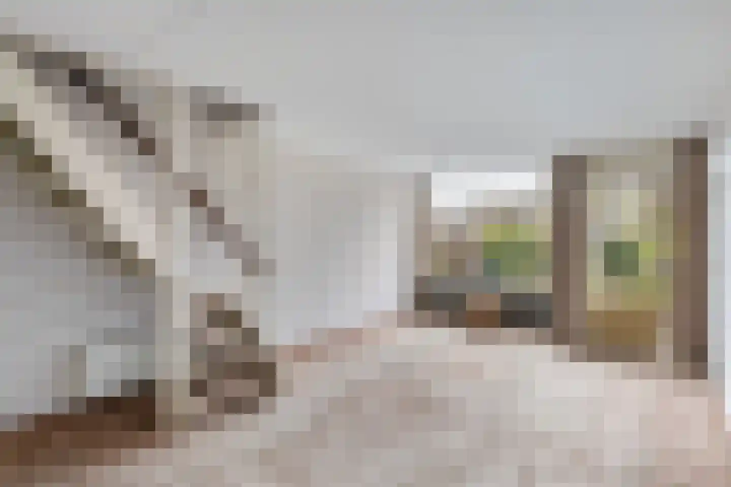 Zwemmer 19 Zwolle thumbnail 10