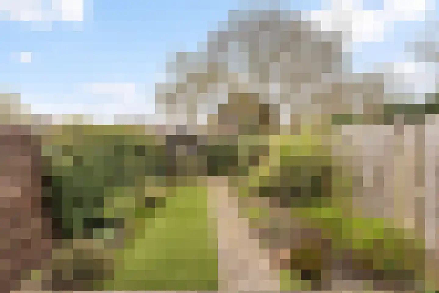 Zwemmer 19 Zwolle thumbnail 16