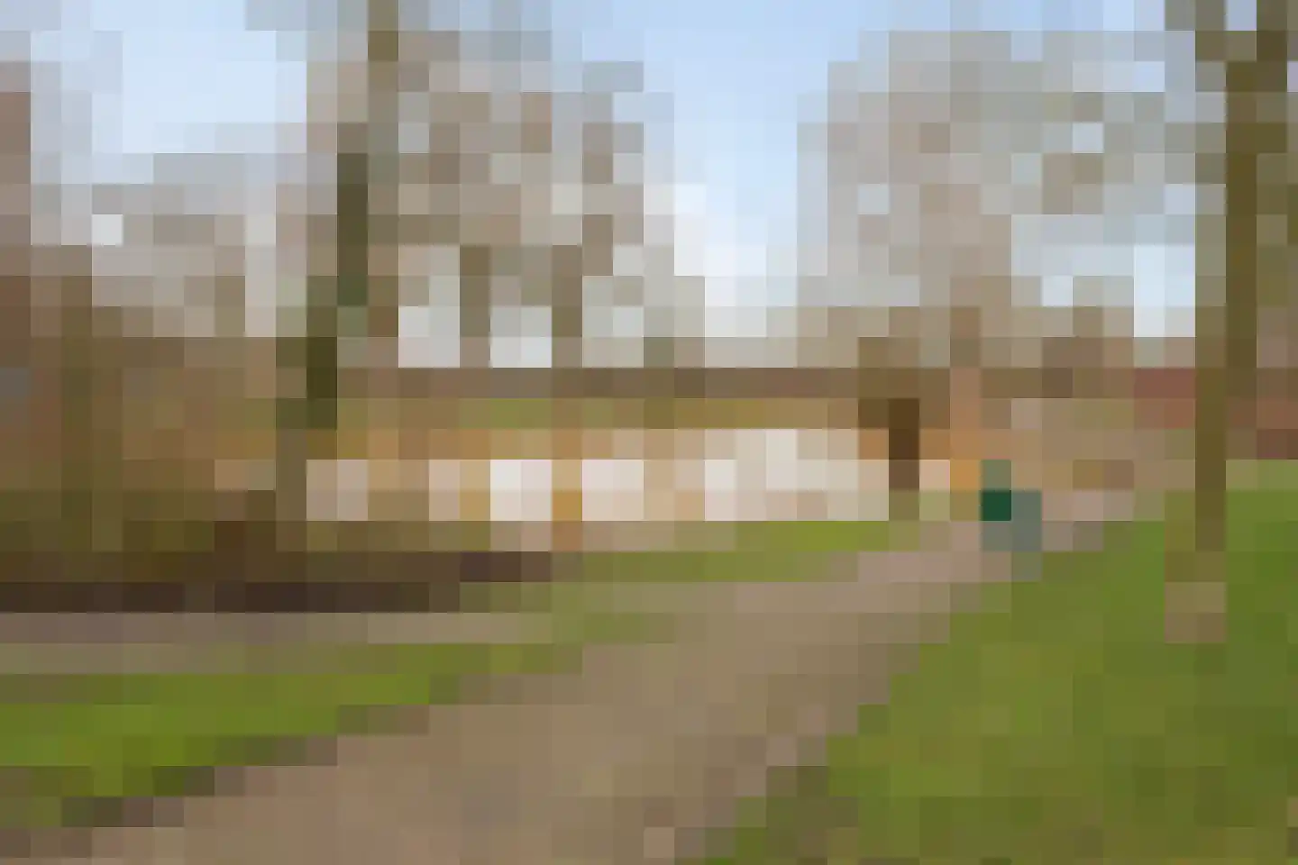 Zwemmer 19 Zwolle thumbnail 30