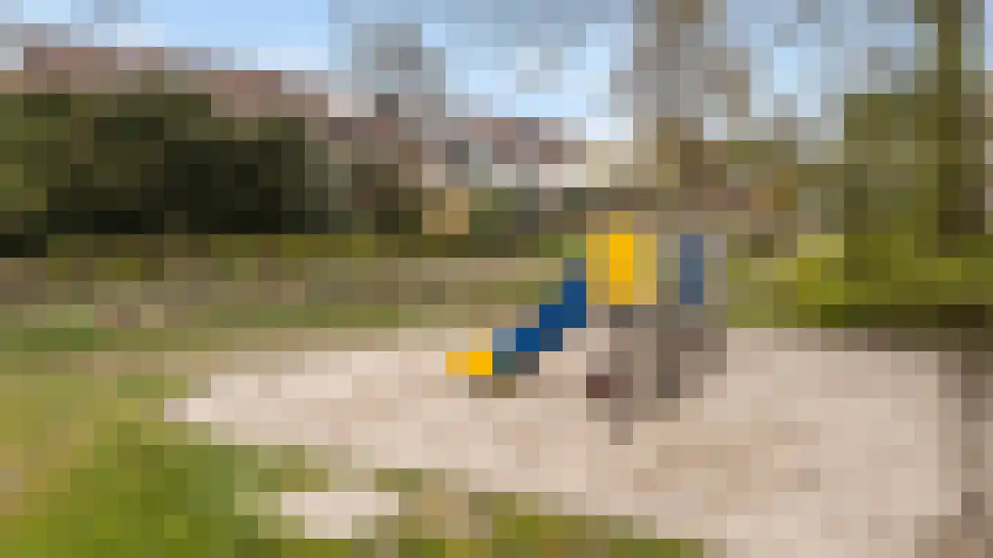 Zwemmer 19 Zwolle thumbnail 32
