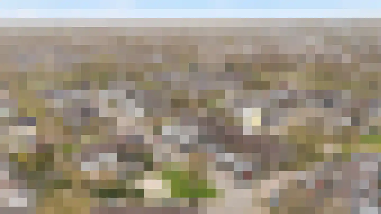 Zwemmer 19 Zwolle thumbnail 33