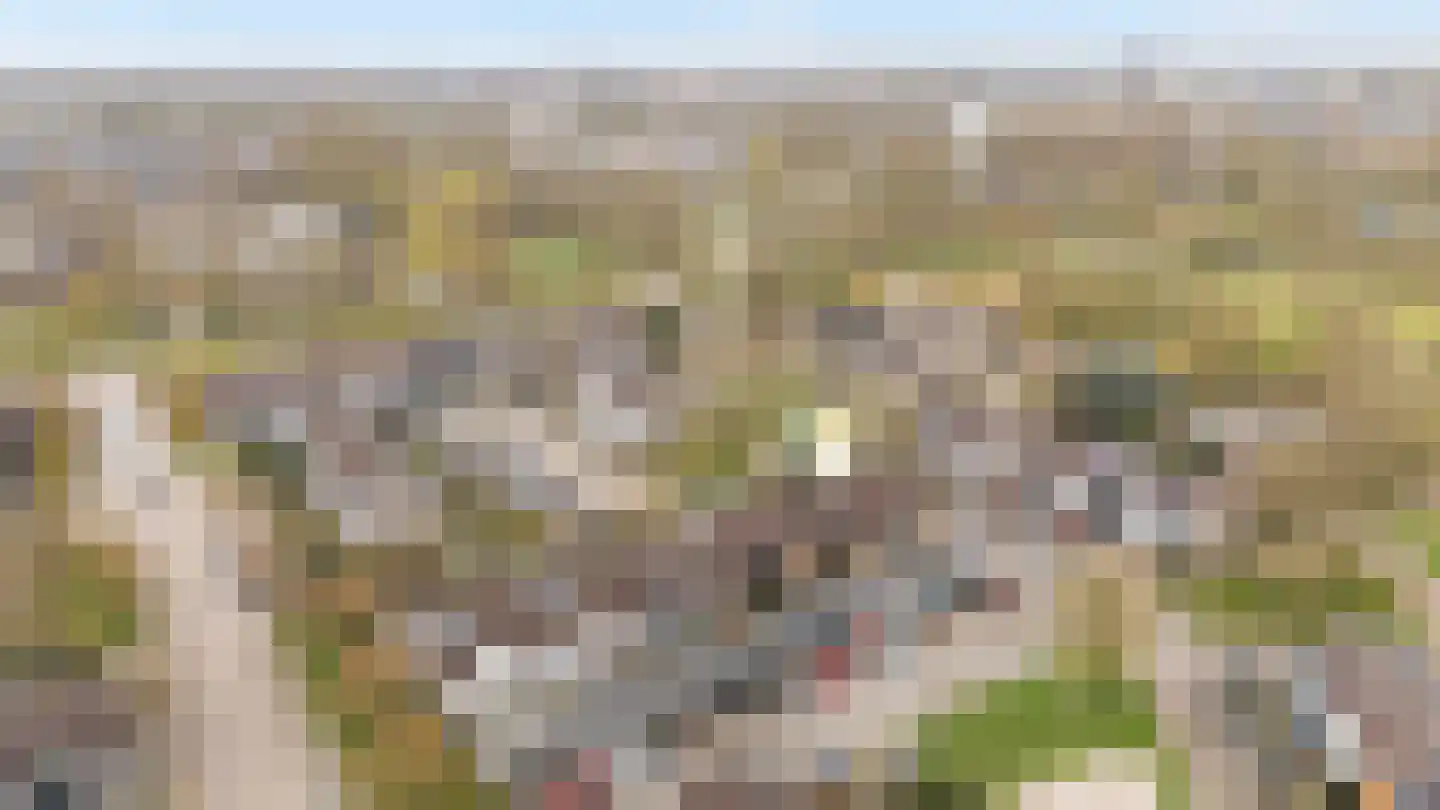 Zwemmer 19 Zwolle thumbnail 34