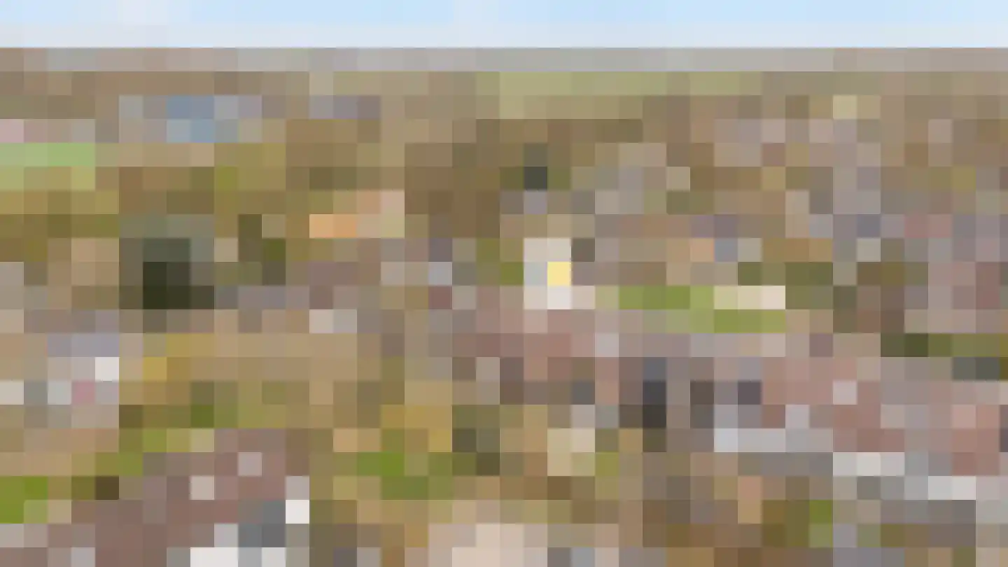Zwemmer 19 Zwolle thumbnail 35