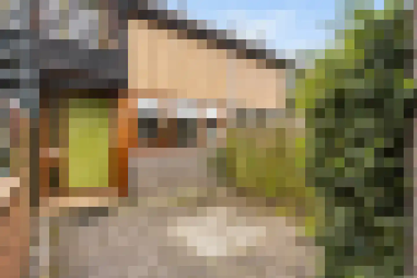 Zwemmer 19 Zwolle thumbnail 5