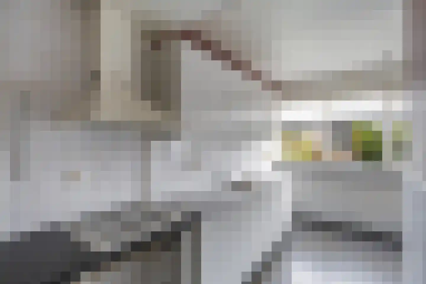 Zwemmer 19 Zwolle thumbnail 9