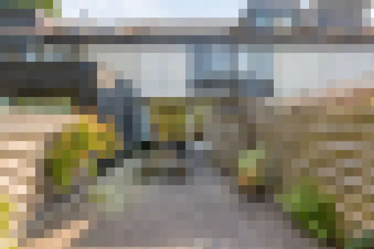 Zwemmer 39 Zwolle thumbnail 28