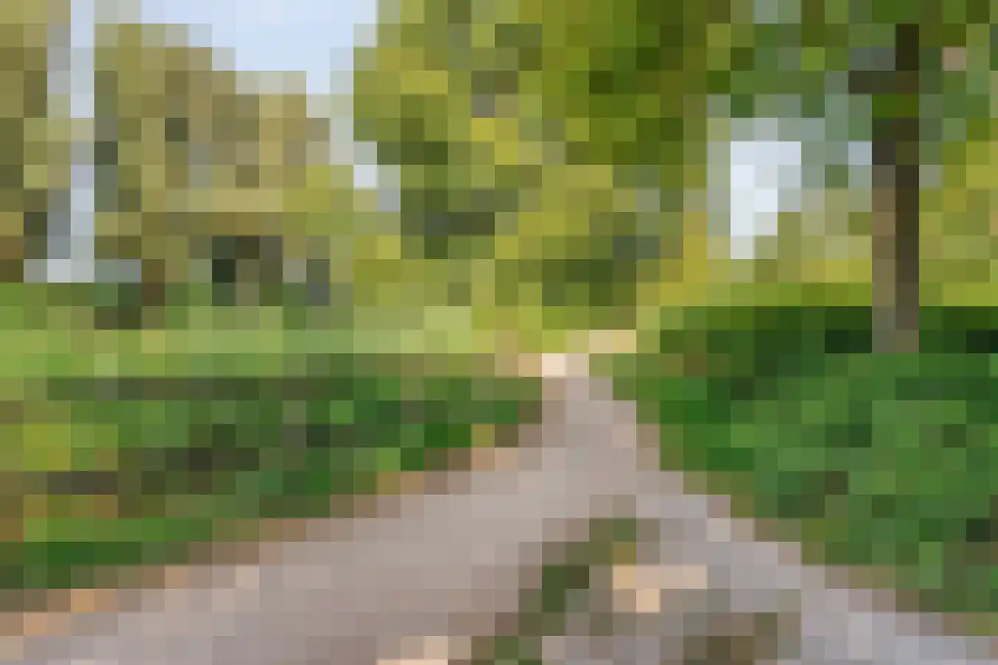 Zwemmer 39 Zwolle thumbnail 33