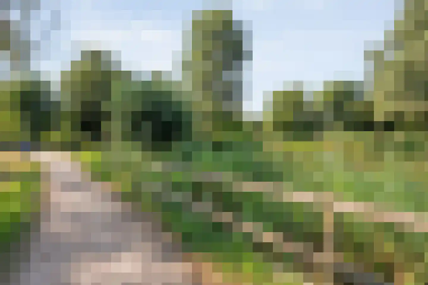 Zwemmer 39 Zwolle thumbnail 34