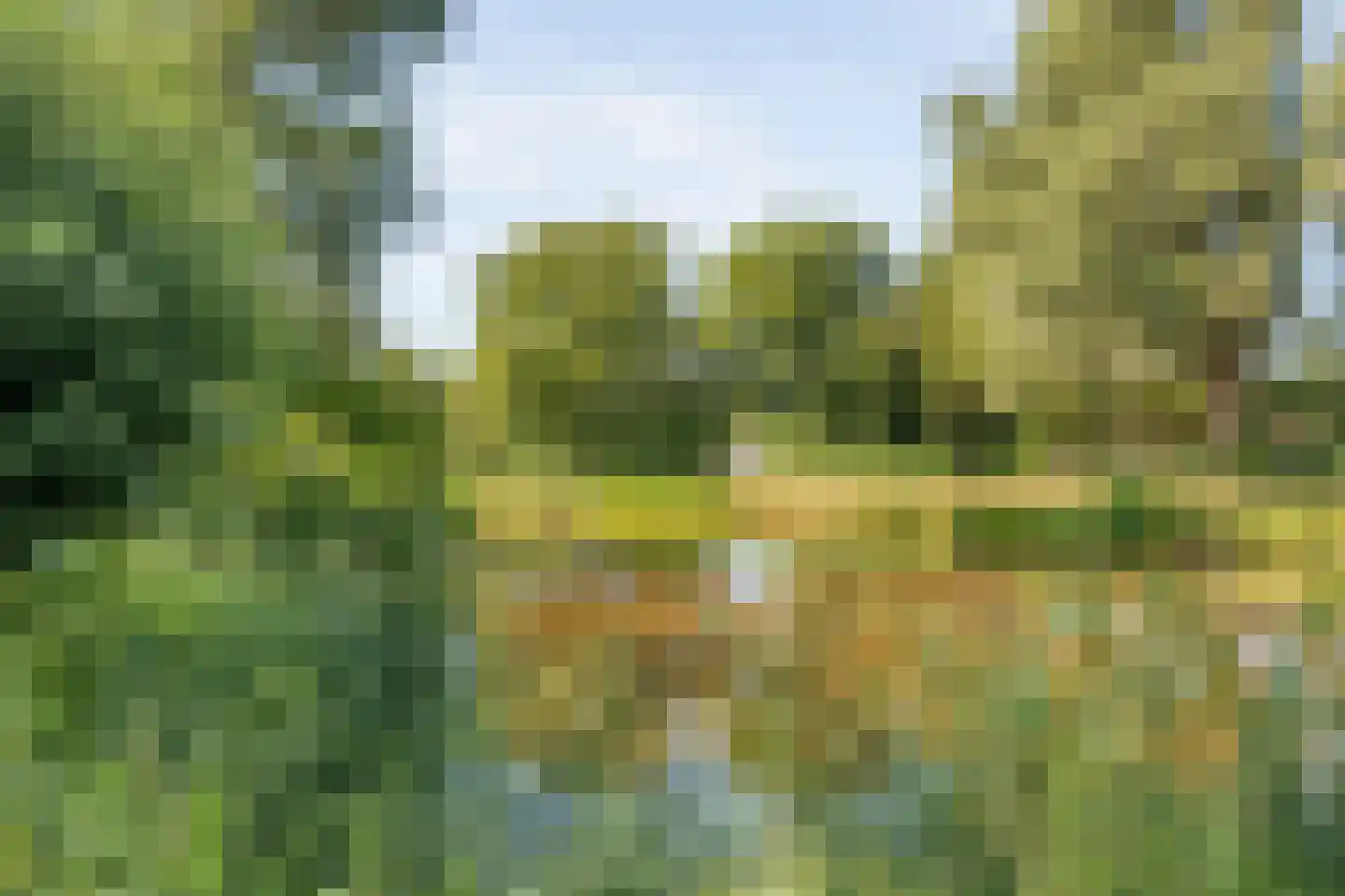 Zwemmer 39 Zwolle thumbnail 35