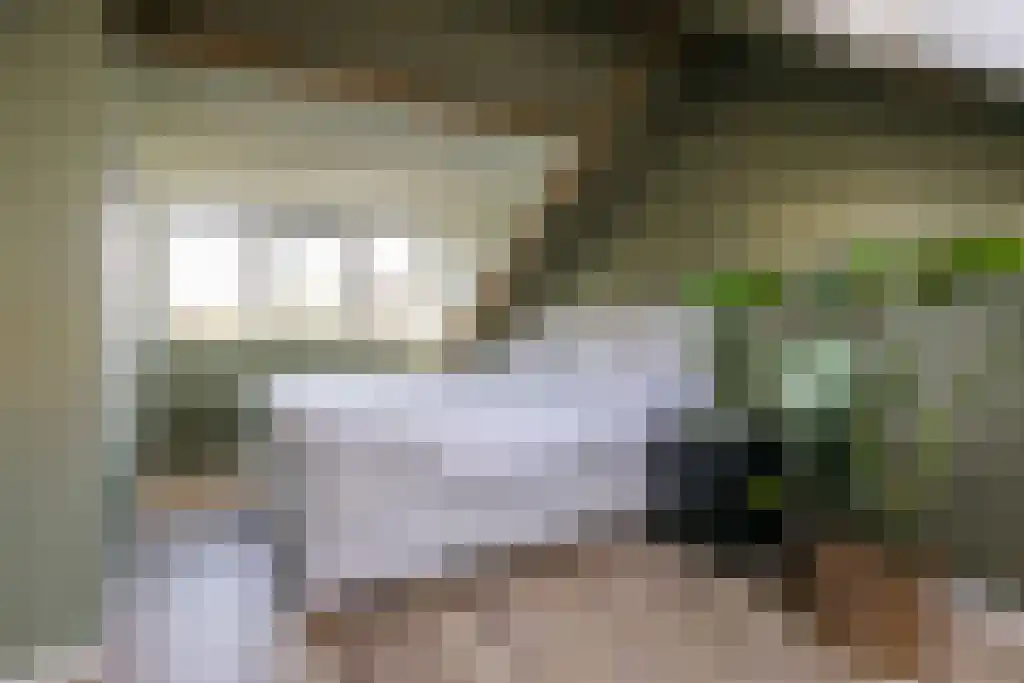 Zwemmer 59 Drachten thumbnail 36