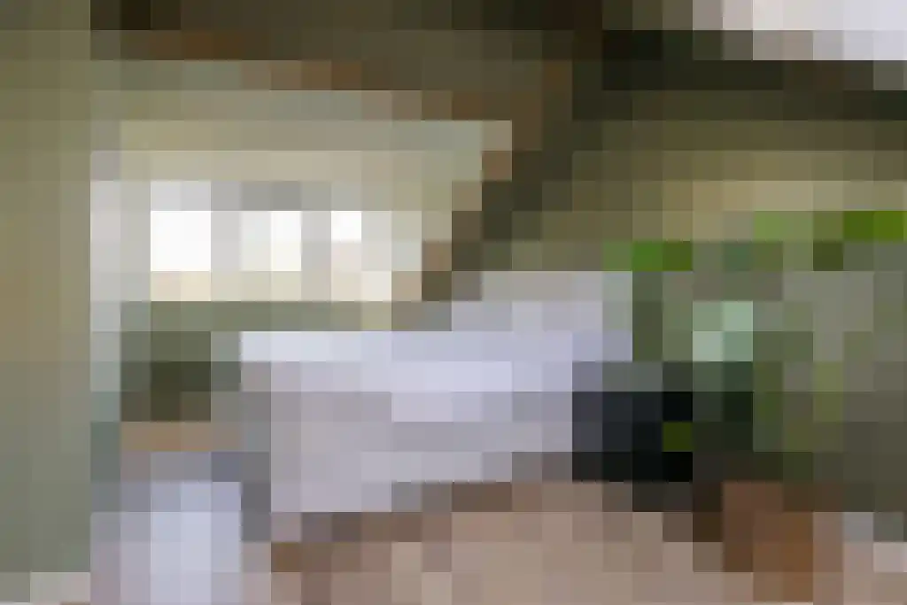 Zwemmer 59 Drachten thumbnail 36