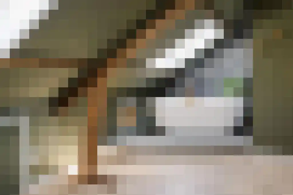 Zwemmer 59 Drachten thumbnail 37
