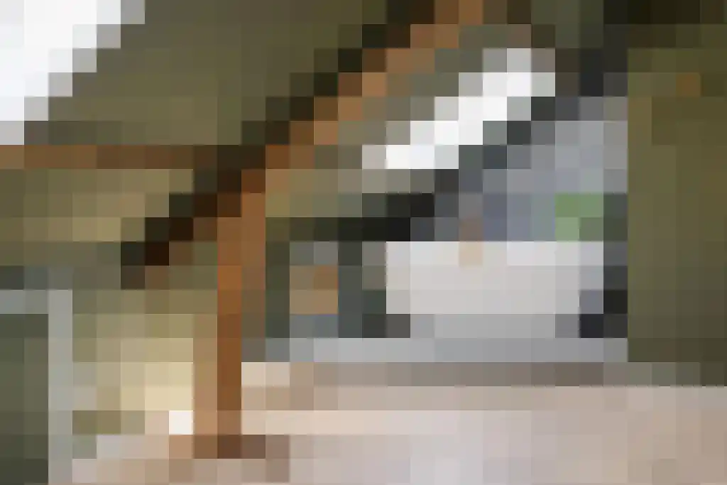 Zwemmer 59 Drachten thumbnail 37