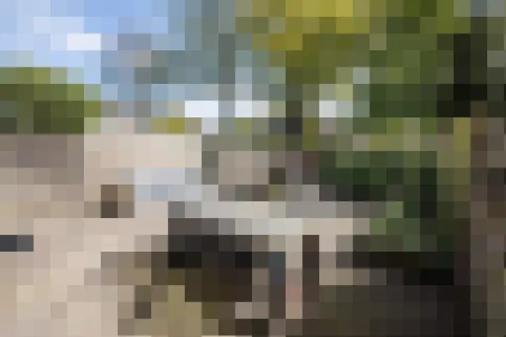 Zwemmer 59 Drachten thumbnail 47